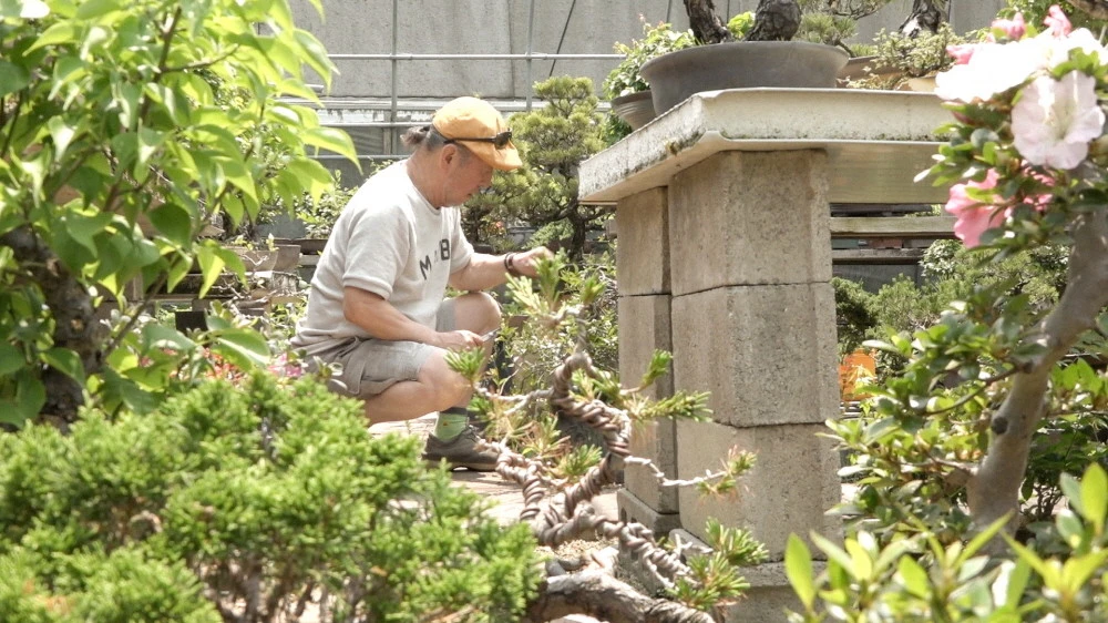 img.jpg?credential=yqXZFxpELC7KVnFOS48ylbz2pIh7yKj8&expires=1764514799&allow_ip=&allow_referer=&signature=obVERCaTNf4pIGBEhWqmxExgNVI%3D