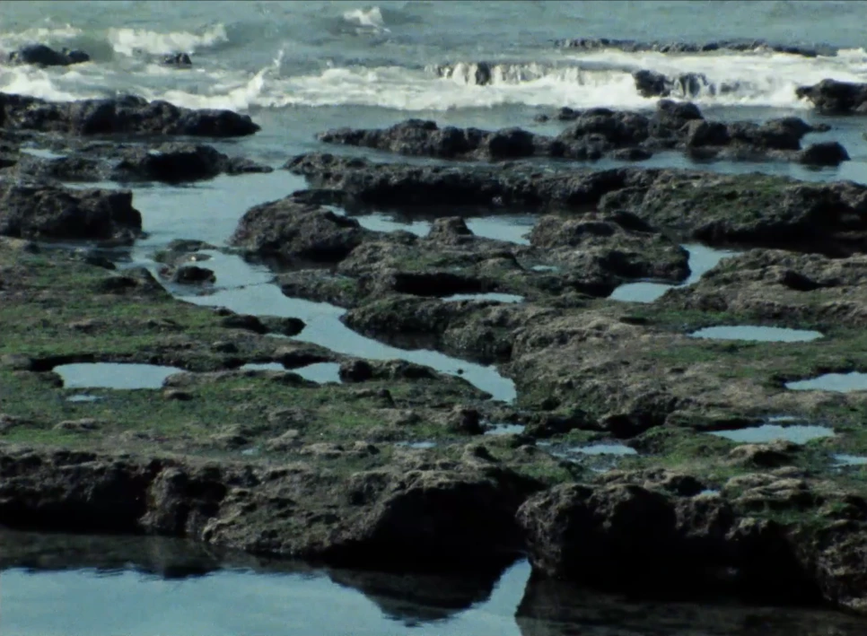 %EC%8A%A4%ED%81%AC%EB%A6%B0%EC%83%B7_2025-03-10_%EC%98%A4%EC%A0%84_1.17.54.png?type=w966