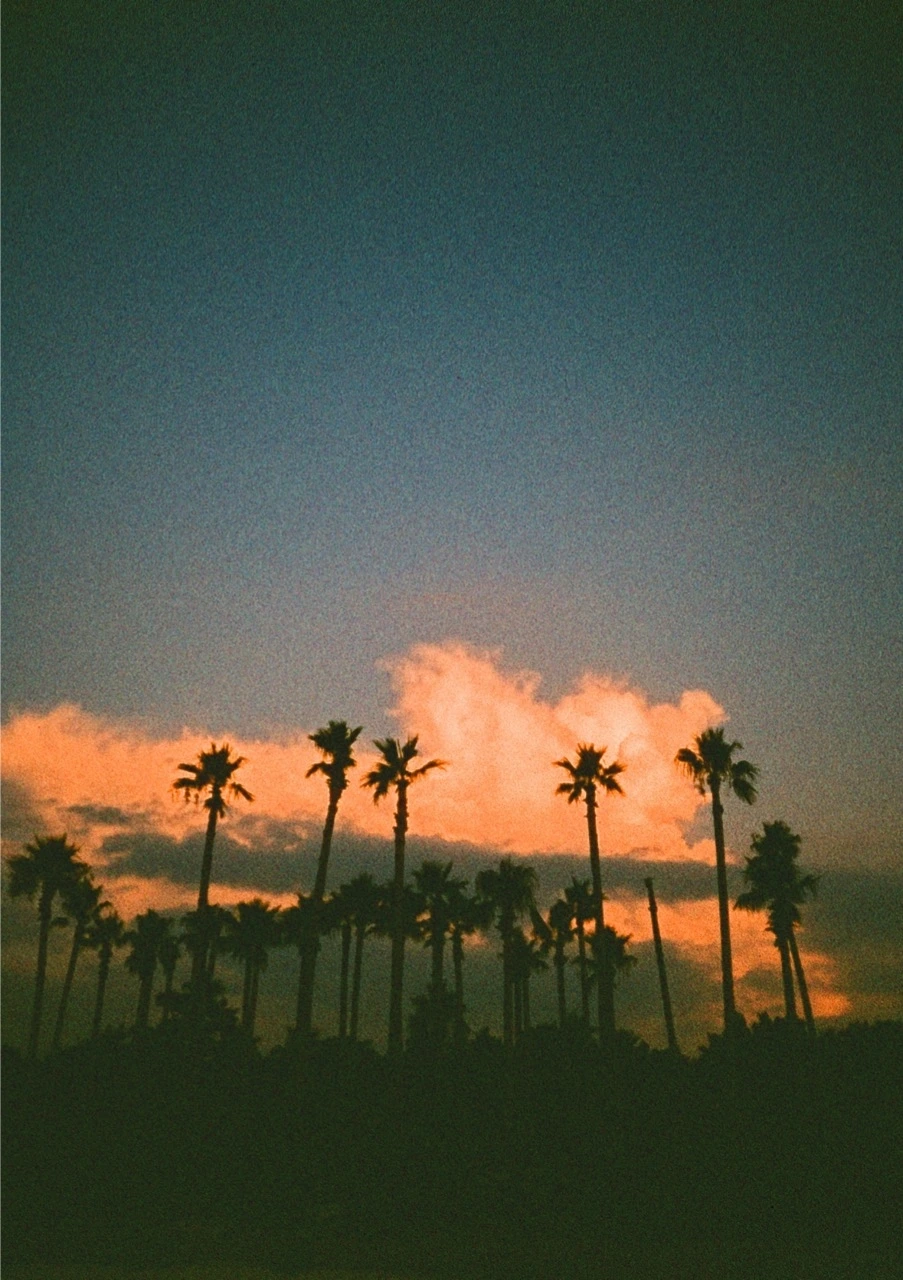 000007570060 크게.jpeg