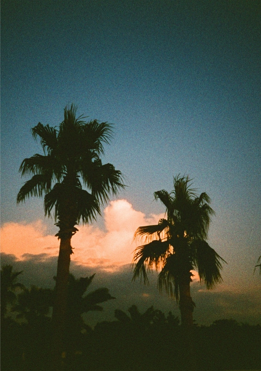 000007570057 크게.jpeg