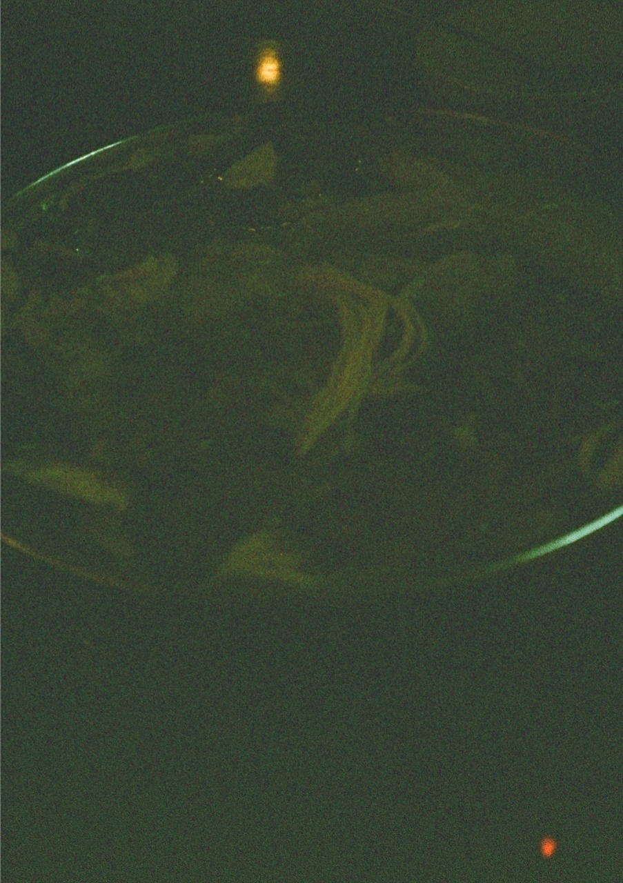 000007570044 크게.jpeg