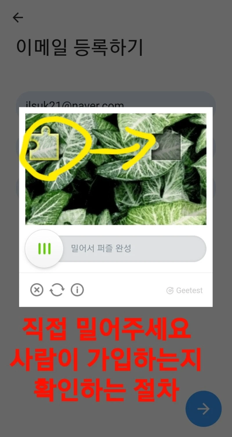 1642149398488.jpg?type=w966