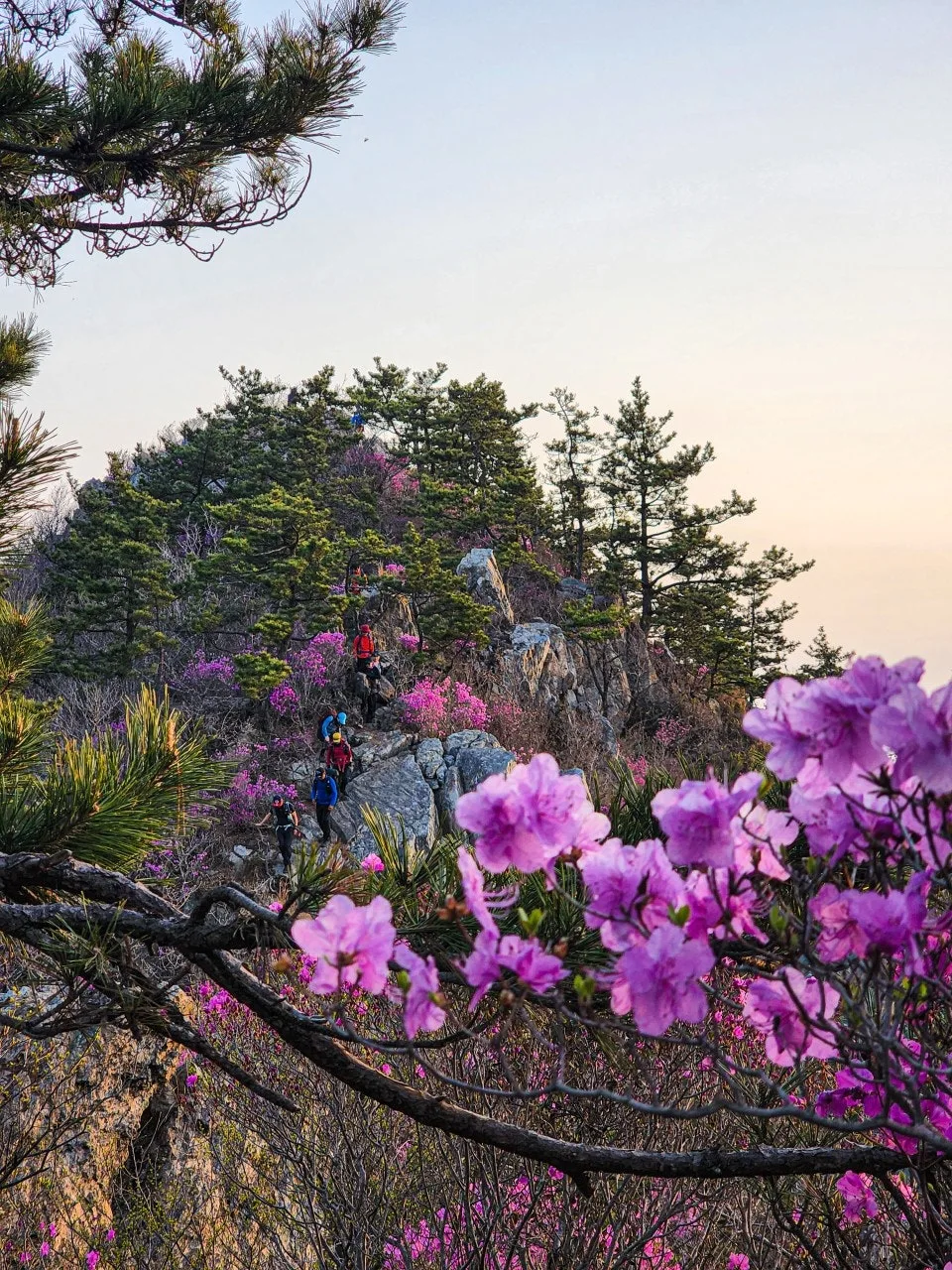 1_2b9Ud018svc1uqpi1nuwy3cy_a2p6xi.jpg?type=e1920_std