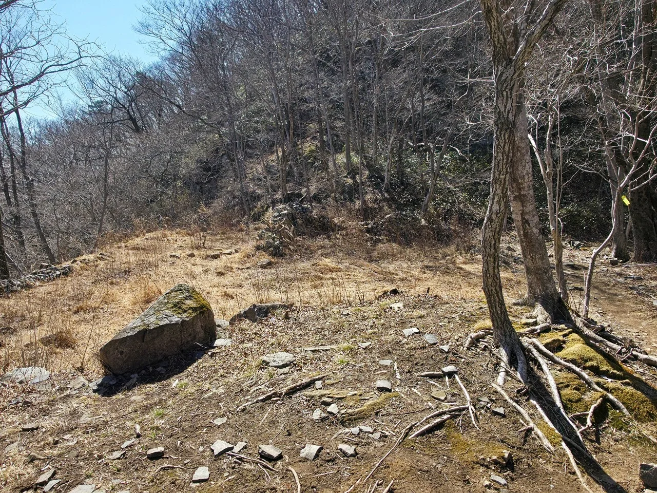 h_43eUd018svc1oi9zb9ti0yy_a2p6xi.jpg?type=e1920_std