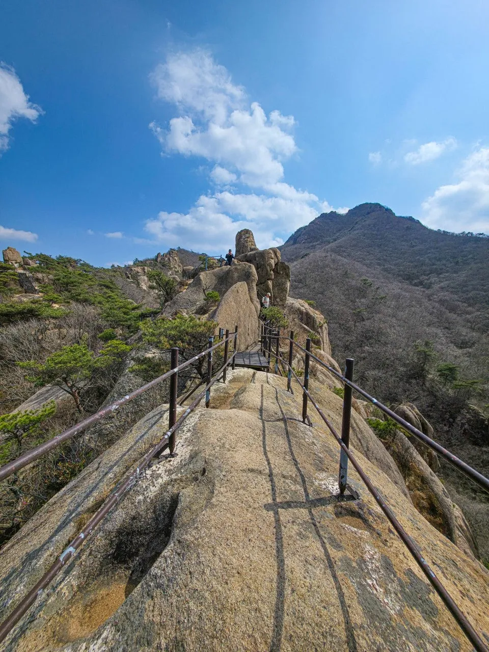 7_931Ud018svcpuln5phfh0o4_a2p6xi.jpg?type=e1920_std