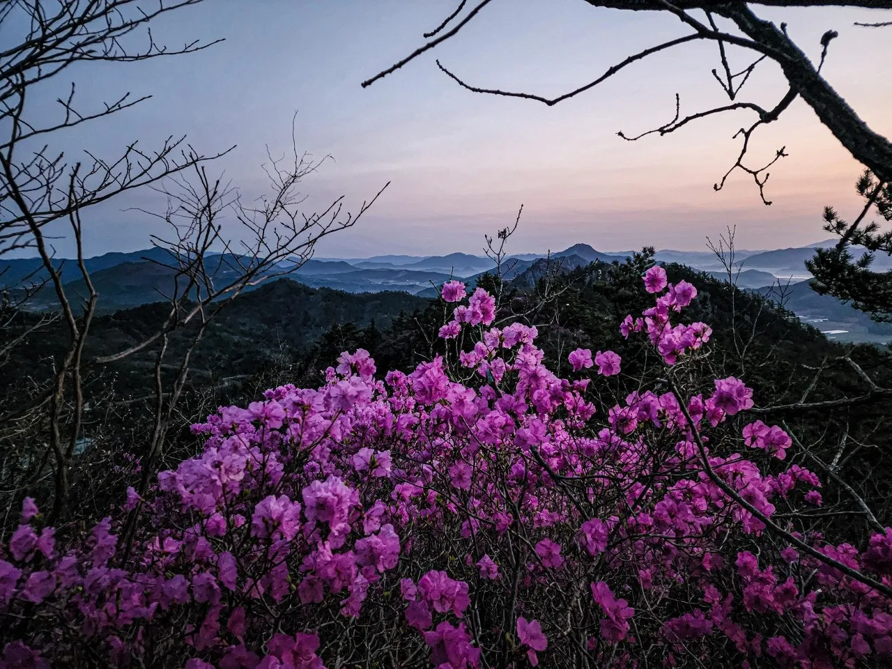 3_eb7Ud018svceanmsbiltwpt_a2p6xi.jpg?type=e1920_std