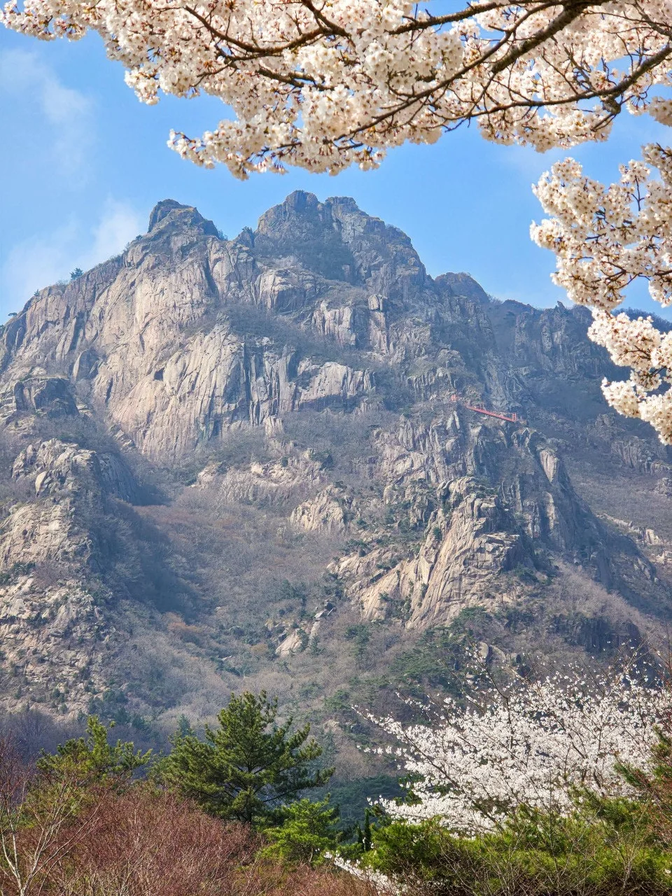 j_i28Ud018svc1stndpl1calww_a2p6xi.jpg?type=e1920_std