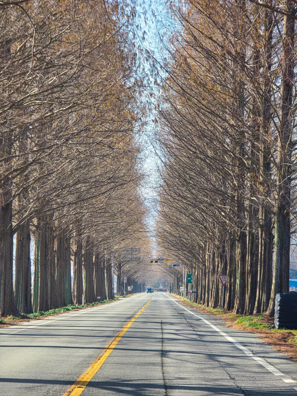 i_a9aUd018svc5psj8ru1ggg4_a2p6xi.jpg?type=e1920_std