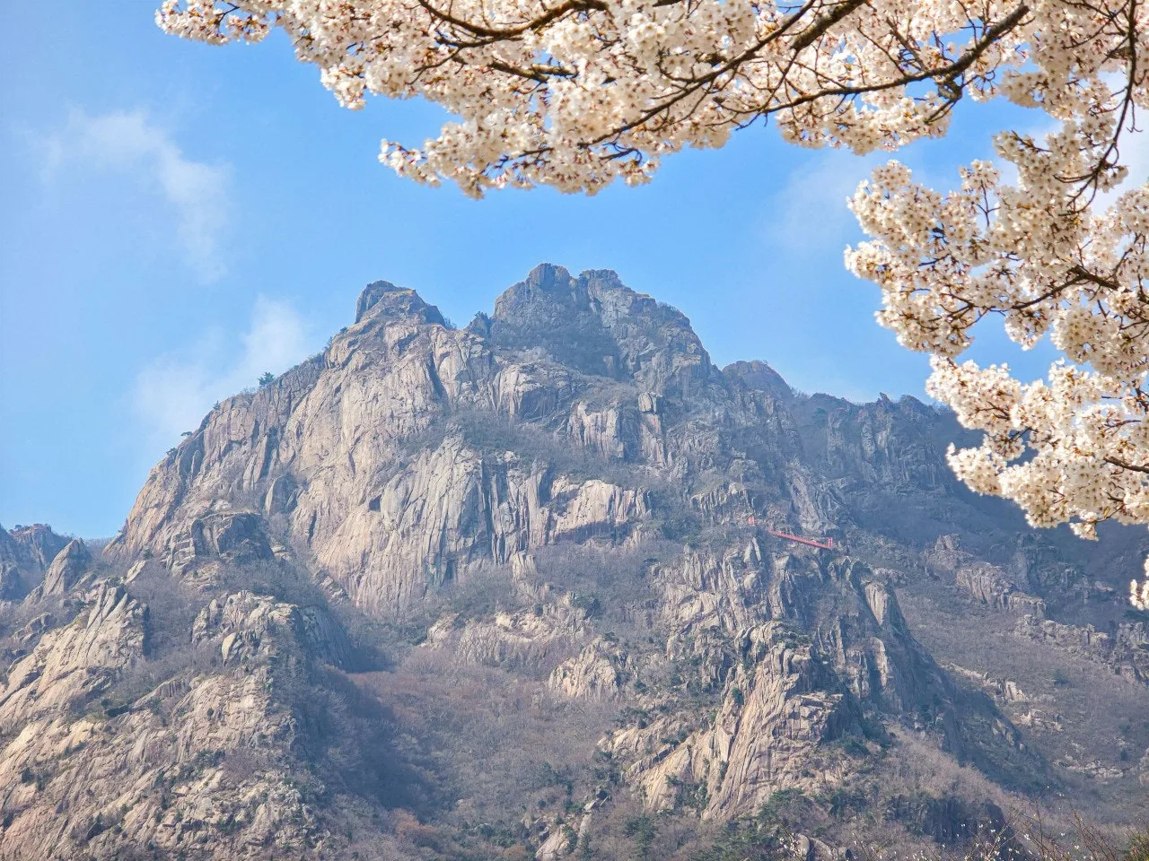 4_72aUd018svckrcl5d7b2jk8_a2p6xi.jpg?type=e1920_std