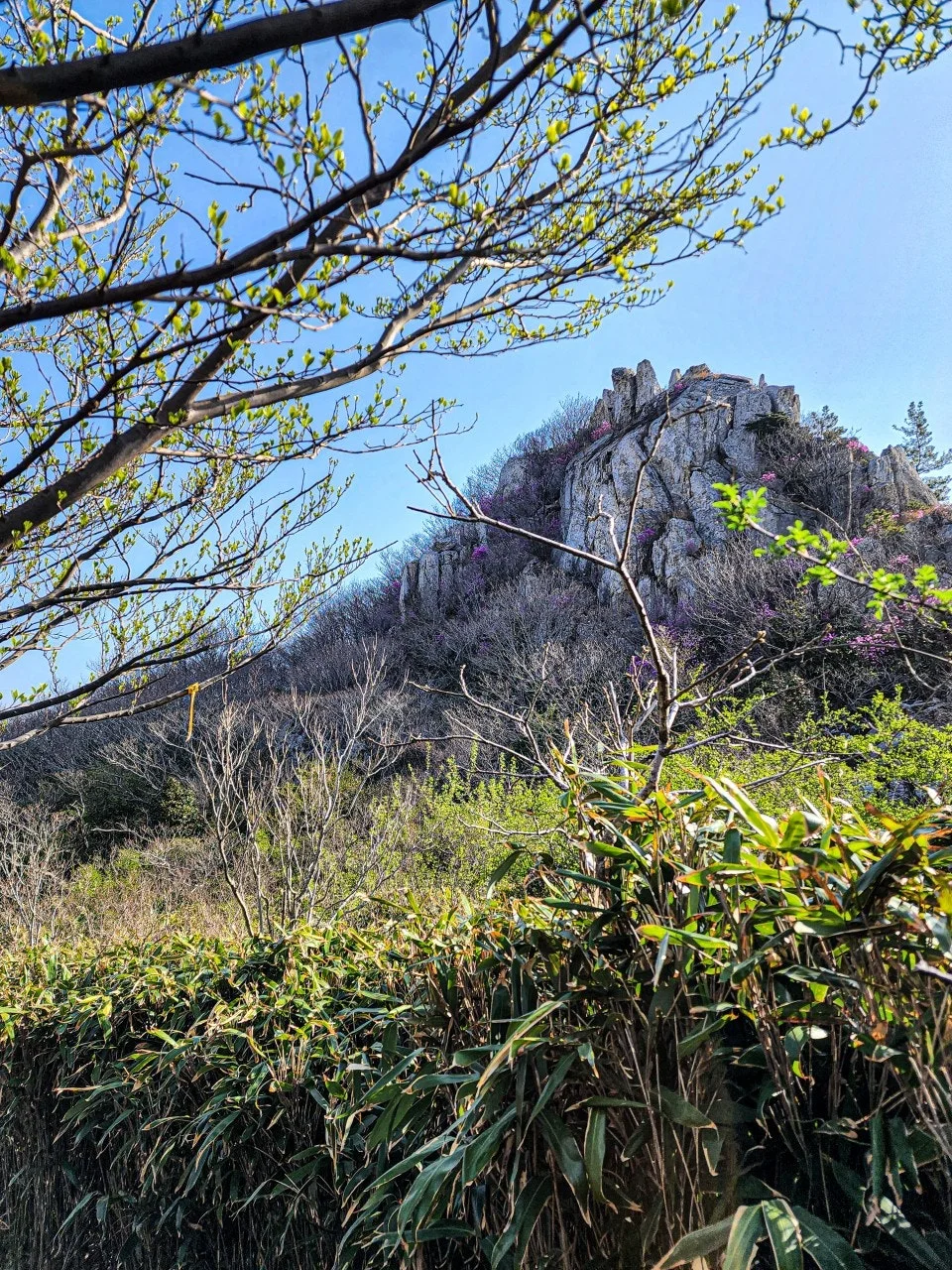 8_dbdUd018svc1xnwvzerpcqx2_a2p6xi.jpg?type=e1920_std