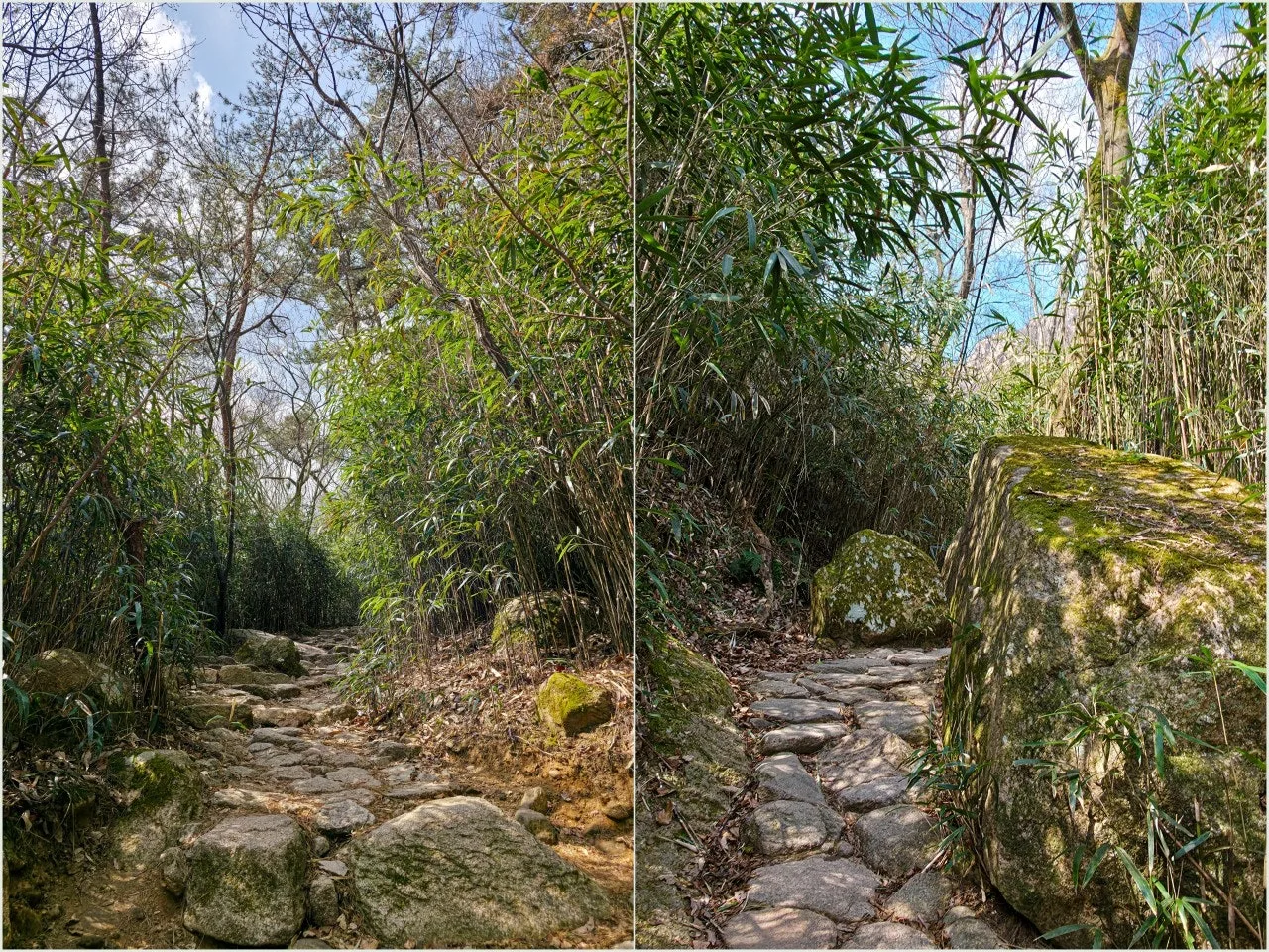 d_52aUd018svcoy7hujrrqazy_a2p6xi.jpg?type=e1920_std