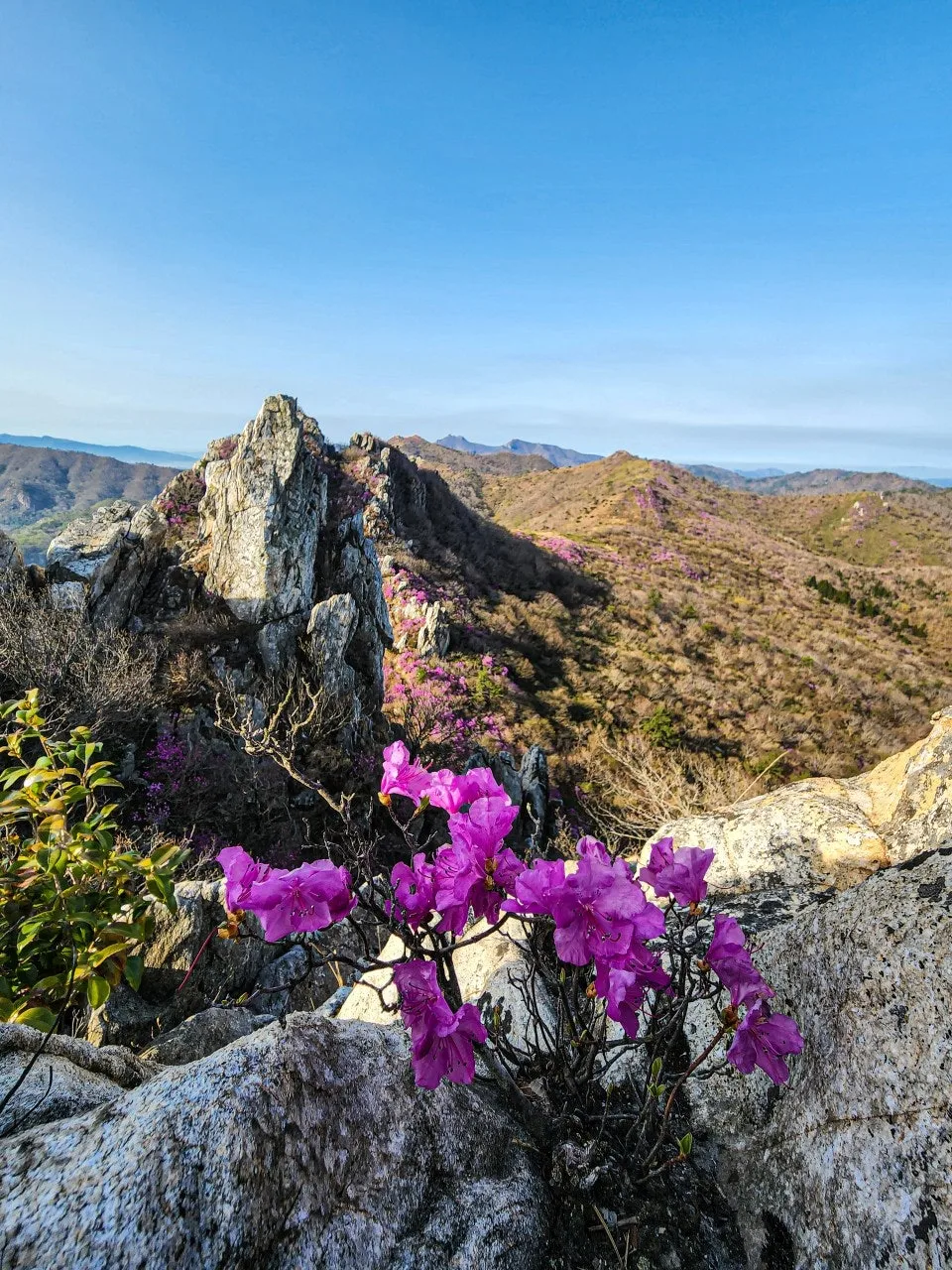 i_7bcUd018svcx24mgu3yn8jd_a2p6xi.jpg?type=e1920_std