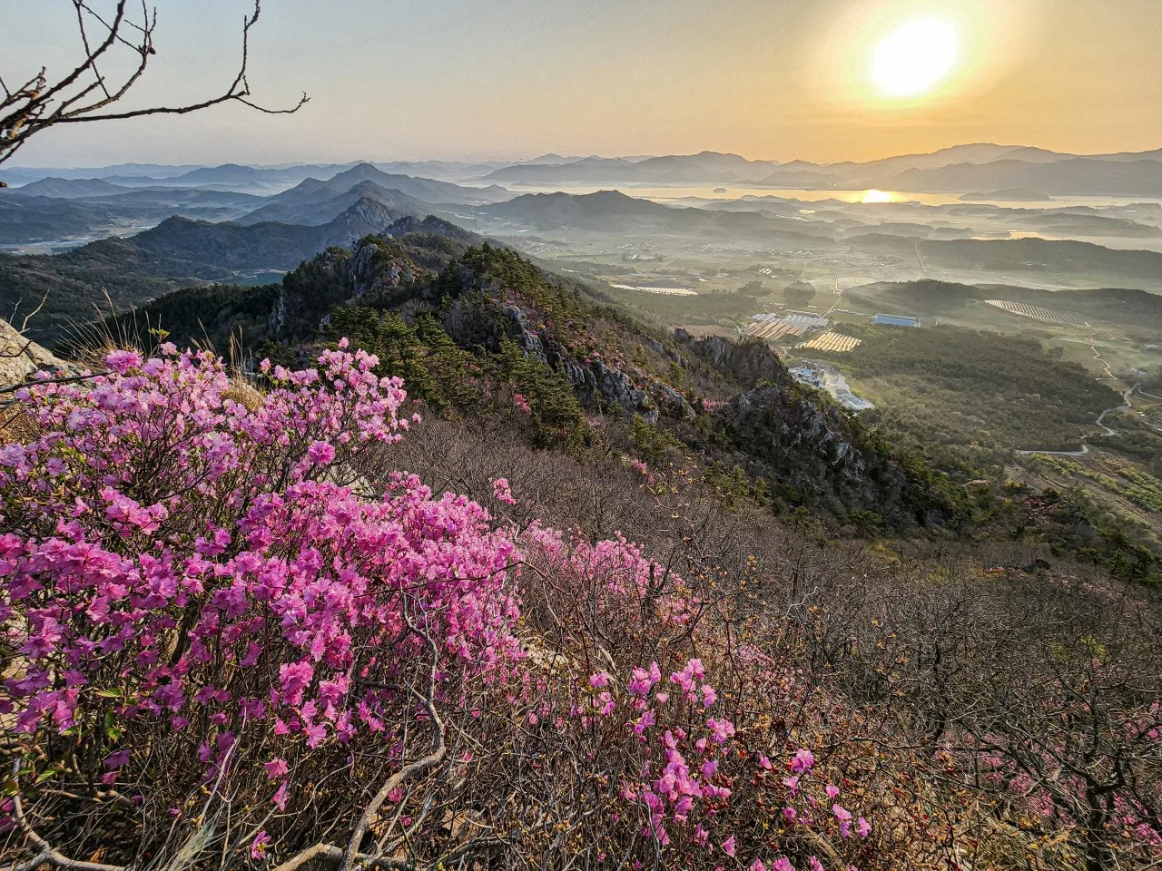 0_7baUd018svc1hf936czy5x0d_a2p6xi.jpg?type=e1920_std