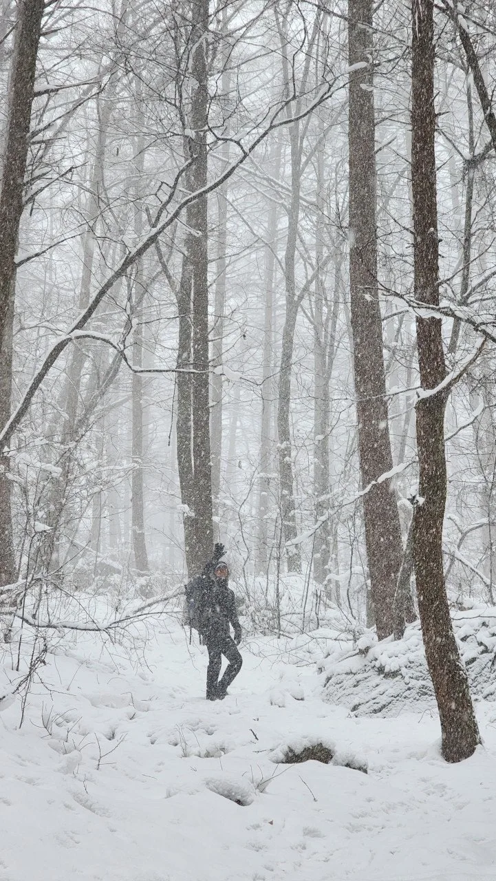 1_332Ud018svc1jvz1he1toawl_a2p6xi.jpg?type=e1920_std