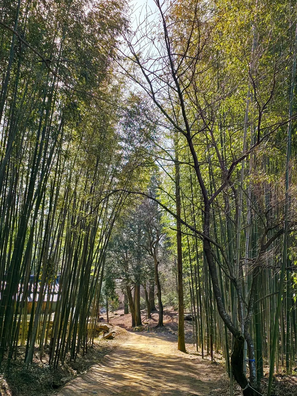 8_e9cUd018svc1bmbucop3y4bw_a2p6xi.jpg?type=e1920_std