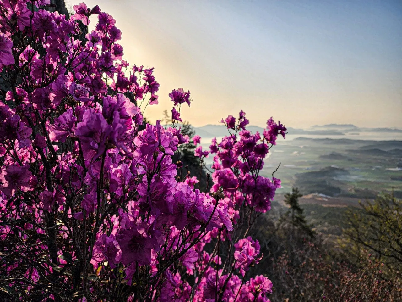 g_7baUd018svc106fjjas98tm6_a2p6xi.jpg?type=e1920_std