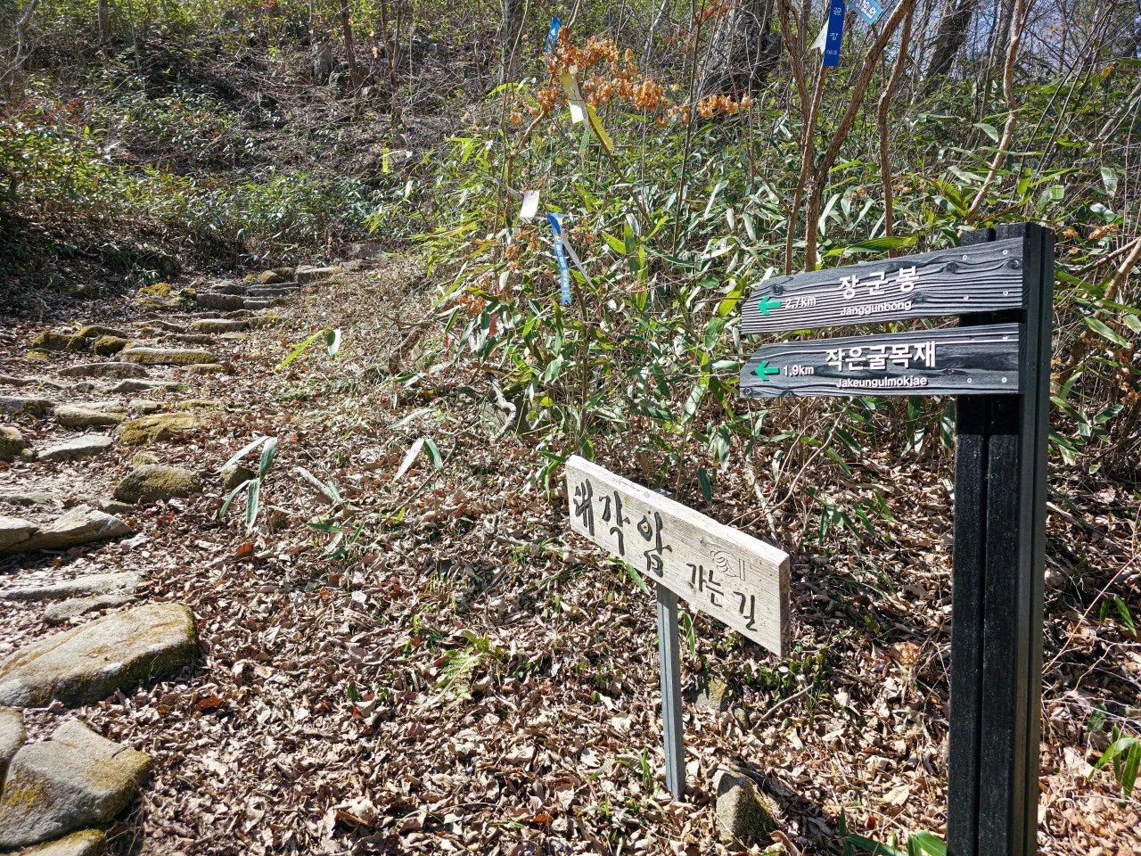 d_33dUd018svc16jcg6mxva45v_a2p6xi.jpg?type=e1920_std