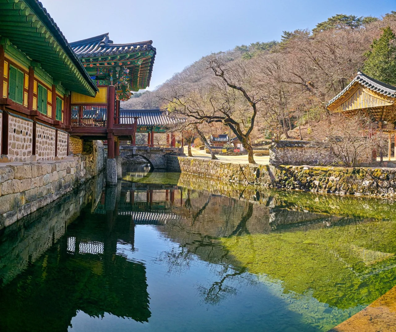 1_g9bUd018svchrcrm4li4gn6_a2p6xi.jpg?type=e1920_std