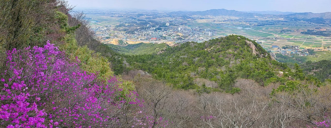 e_h31Ud018svc1y276crxcd5y5_a2p6xi.jpg?type=e1920_std