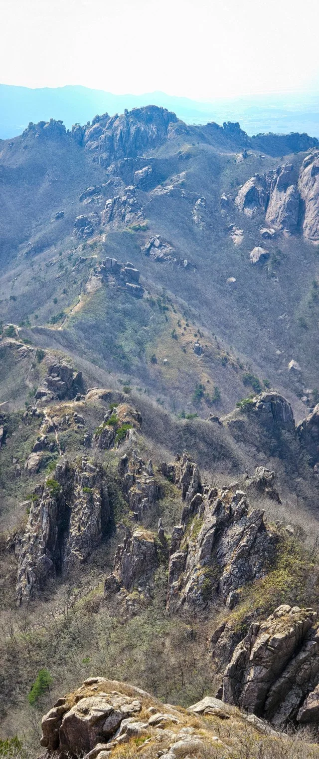 8_d2jUd018svckc2ssnrfyivs_a2p6xi.jpg?type=e1920_std