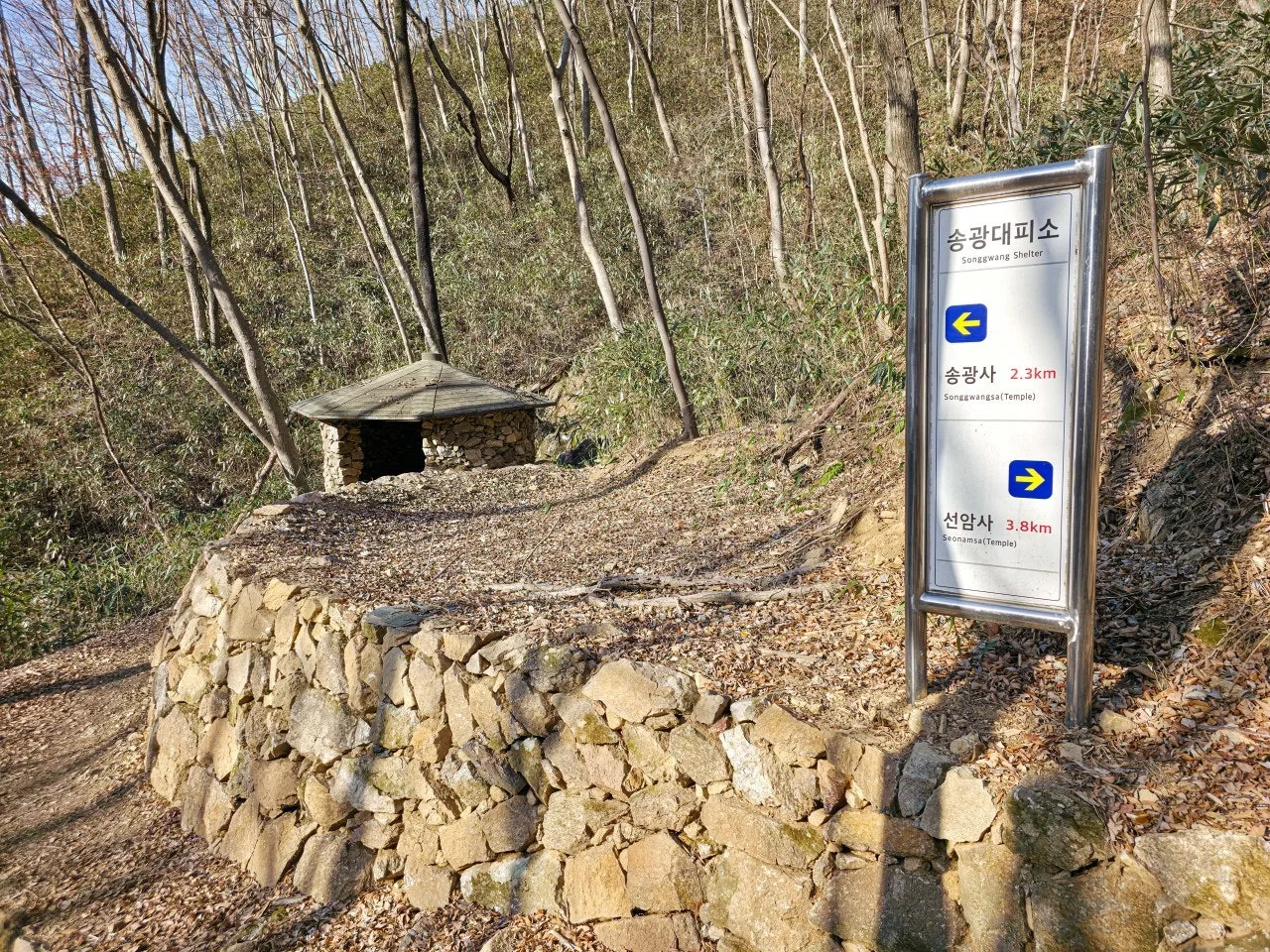 0_440Ud018svckzga8obeejb2_a2p6xi.jpg?type=e1920_std