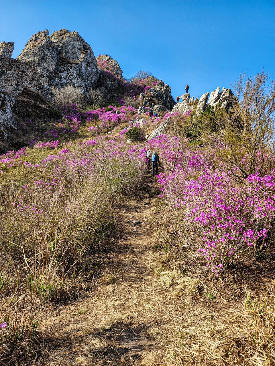 4_gbdUd018svct9xw80flcjks_a2p6xi.jpg?type=e1920_std