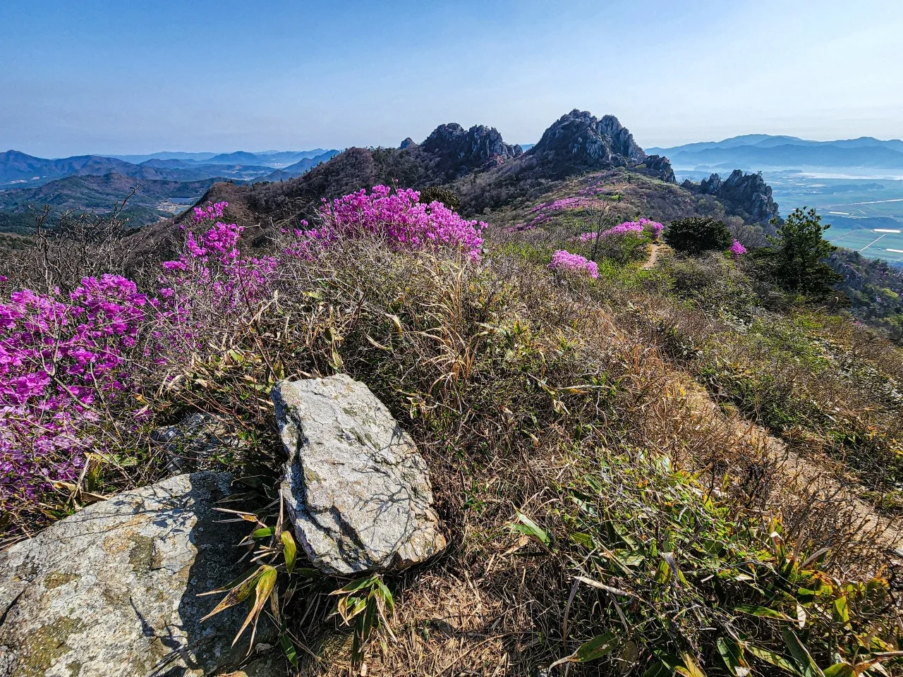 d_abdUd018svc1d19c3y9vx3oc_a2p6xi.jpg?type=e1920_std