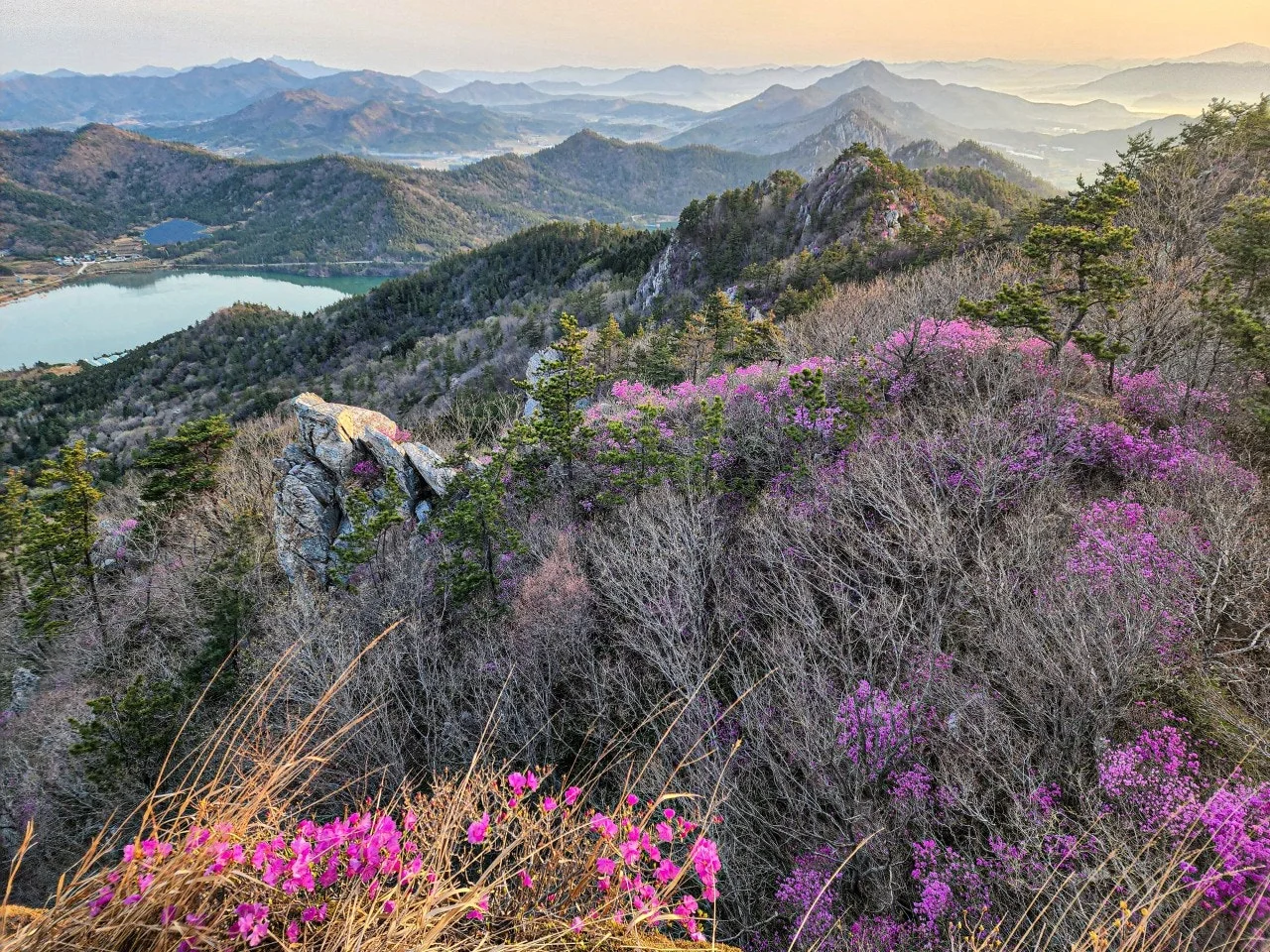 a_9b9Ud018svcuvogfvw3cox_a2p6xi.jpg?type=e1920_std