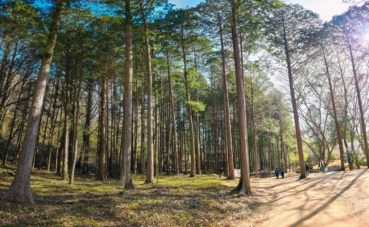 j_4a5Ud018svcpo8vzbuubgze_a2p6xi.jpg?type=e1920_std