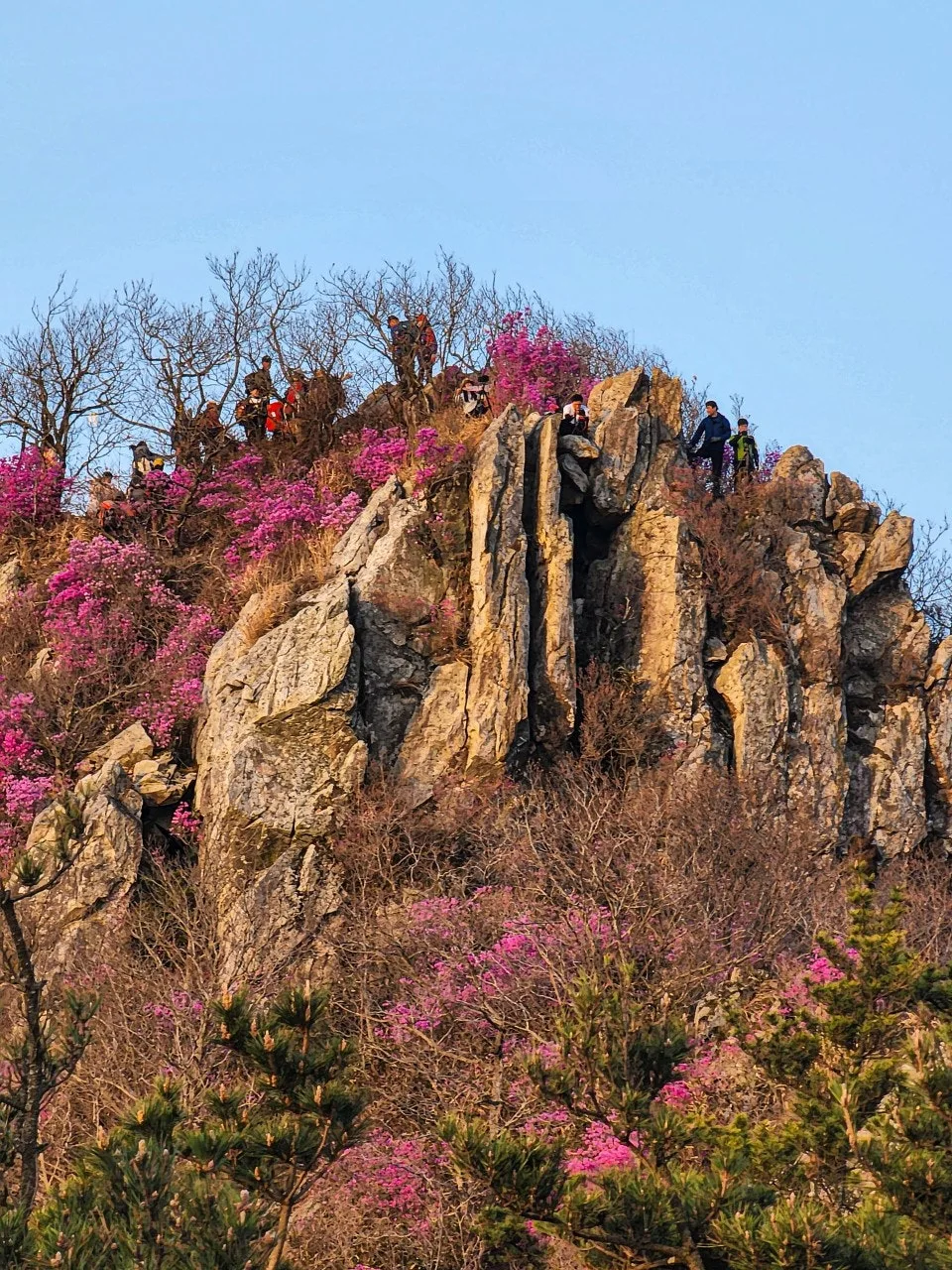 5_1b9Ud018svc1u6mkh2j6rzuy_a2p6xi.jpg?type=e1920_std