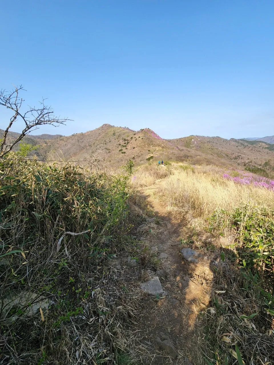 i_3c7Ud018svc160ptd20mzt4z_a2p6xi.jpg?type=e1920_std