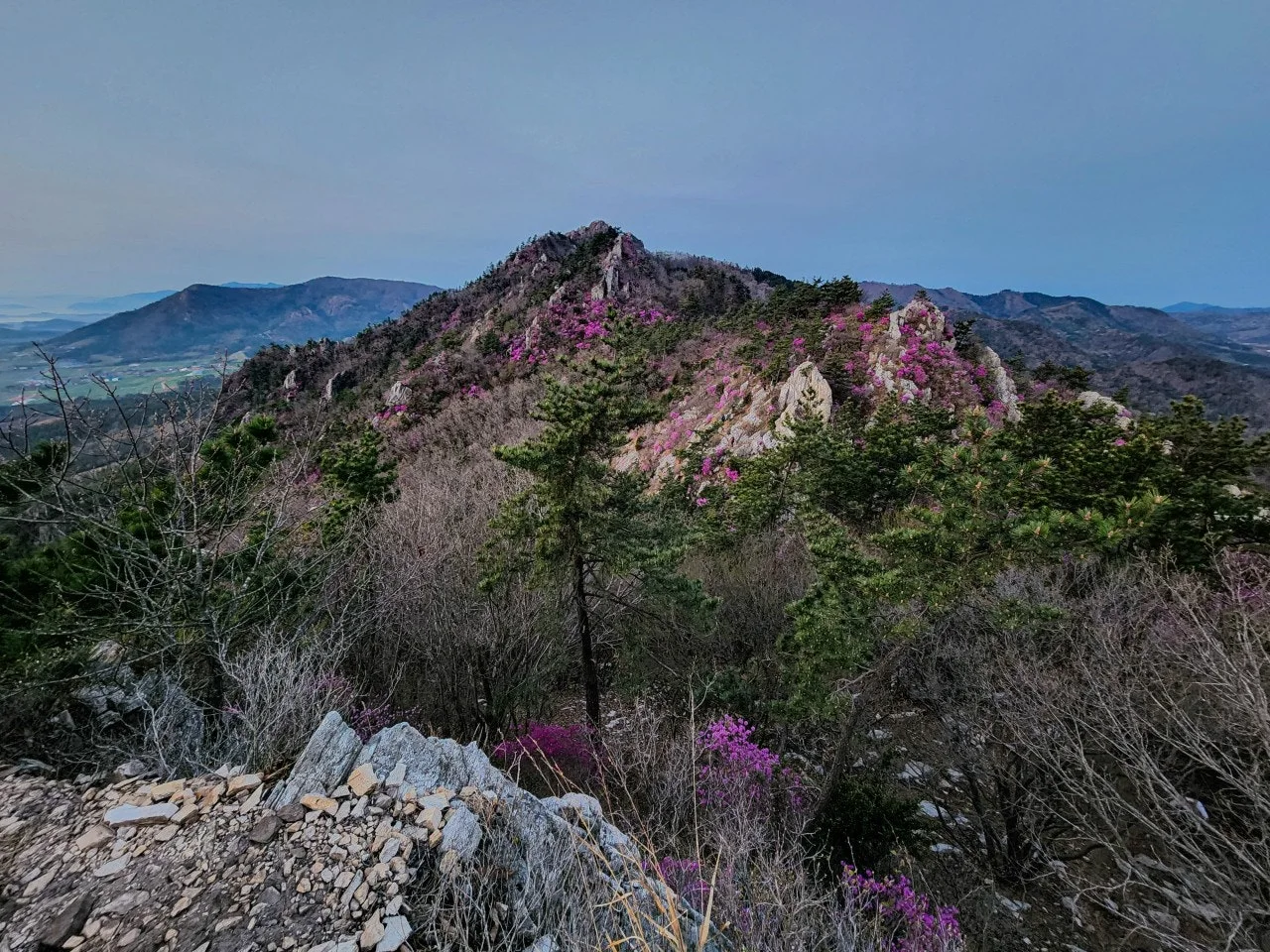 e_ib7Ud018svcrwvdh882q3n7_a2p6xi.jpg?type=e1920_std