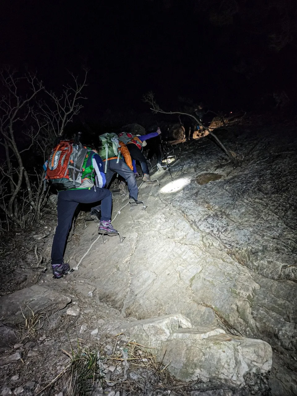 1_0b7Ud018svc5f7dcqm07s3m_a2p6xi.jpg?type=e1920_std