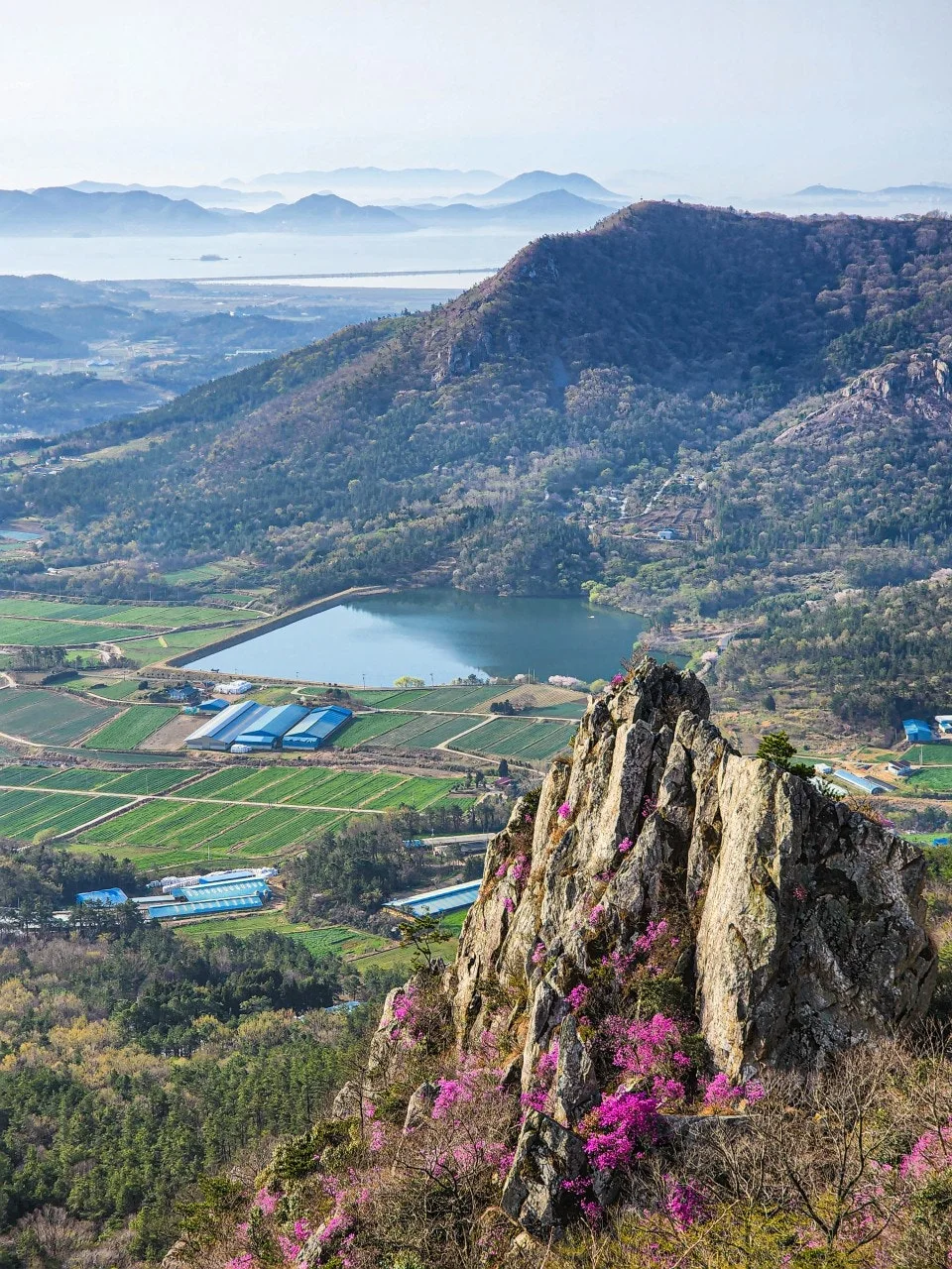 d_fbcUd018svc1ez4rl0w7vpz8_a2p6xi.jpg?type=e1920_std