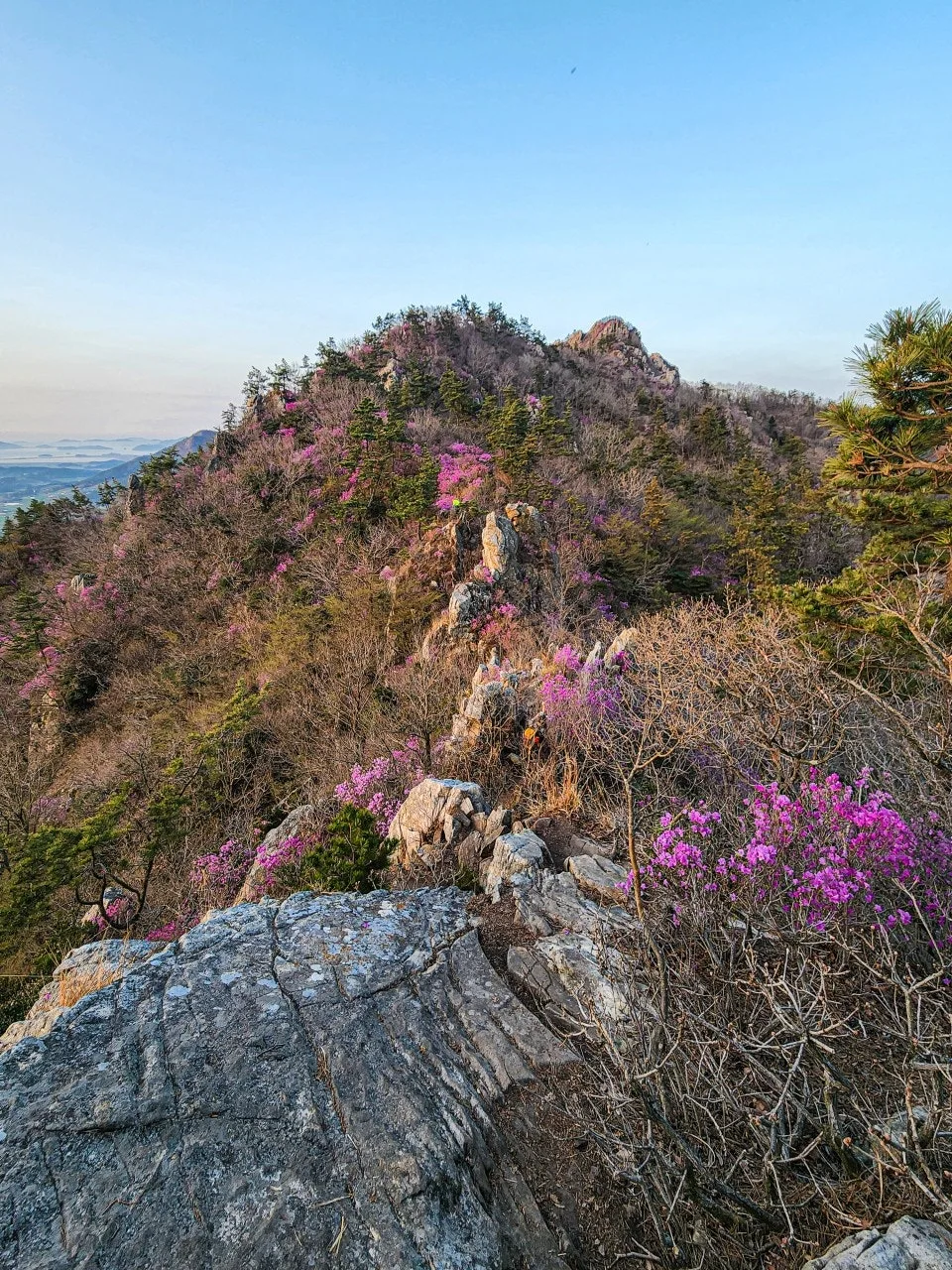 0_8b9Ud018svcs8l1zftn2src_a2p6xi.jpg?type=e1920_std