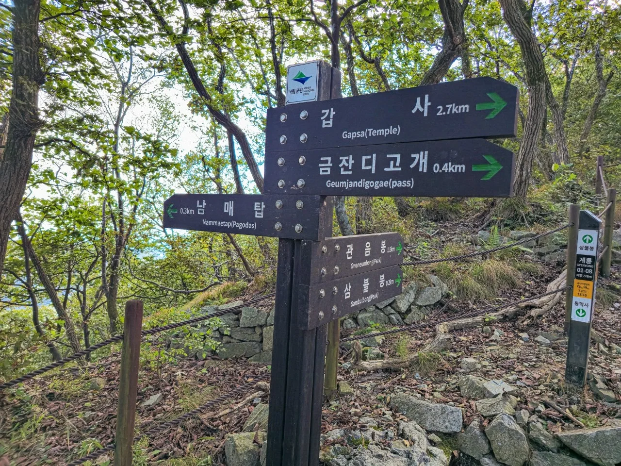 h_d2gUd018svc1v7kiyf21myo7_a2p6xi.jpg?type=e1920_std