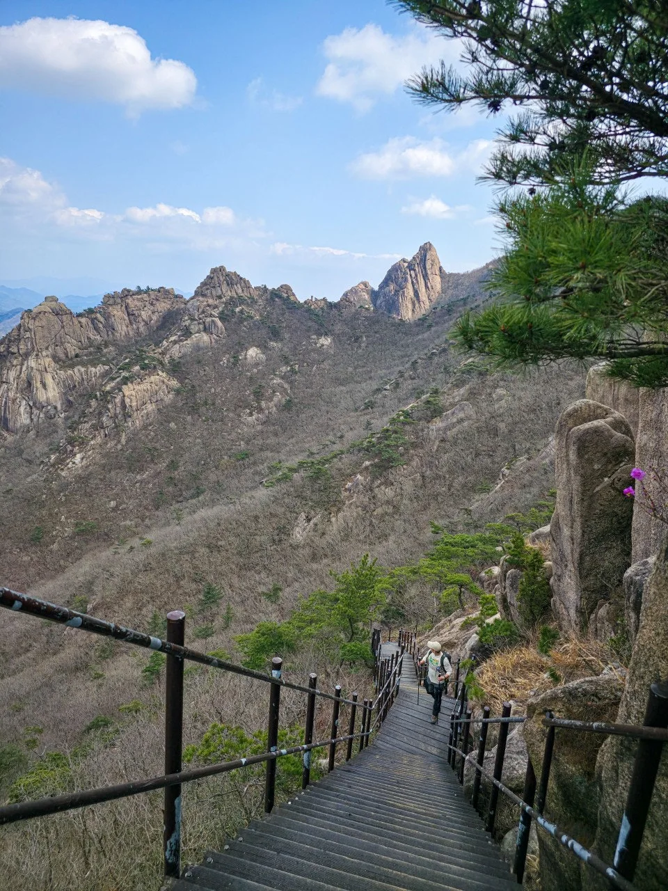 7_f31Ud018svc8uf6pvwwoj5m_a2p6xi.jpg?type=e1920_std