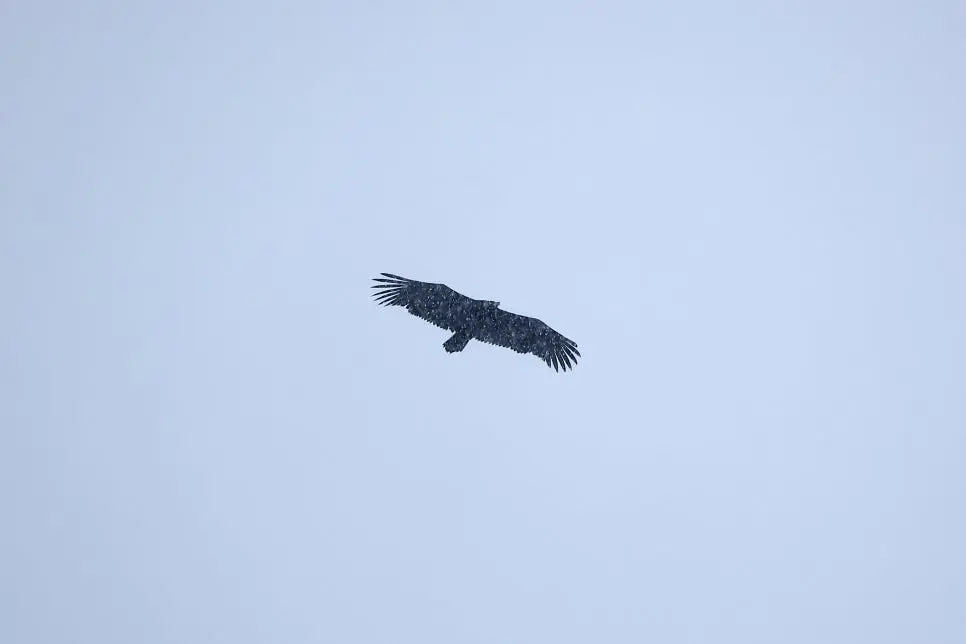 KakaoTalk_20250212_145501919_02.jpg?type=w966