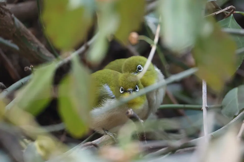 KakaoTalk_20250218_100136630_01.jpg?type=w966