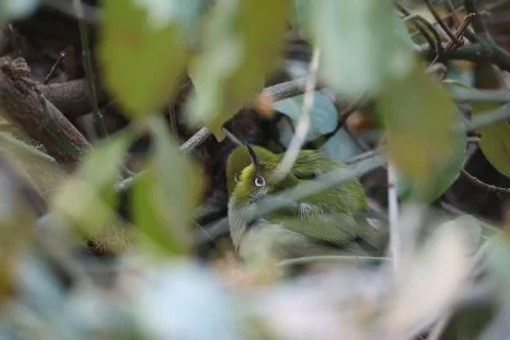 KakaoTalk_20250218_101721151.jpg?type=w466