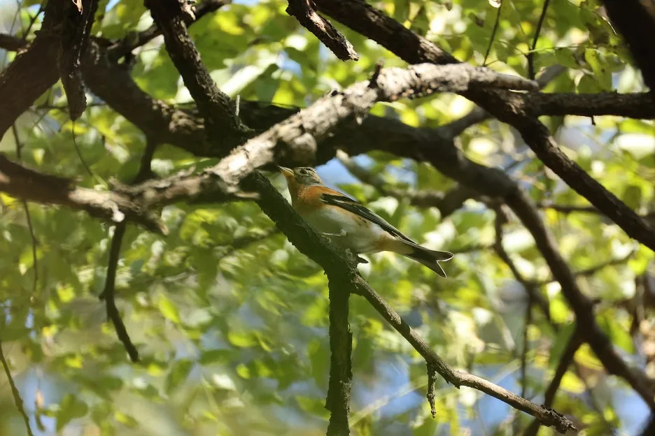 2C2A8248.JPG?type=w1