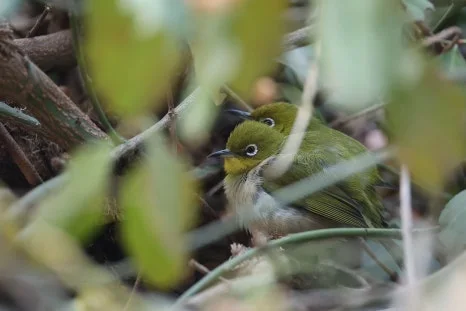 KakaoTalk_20250218_100136630_04.jpg?type=w466