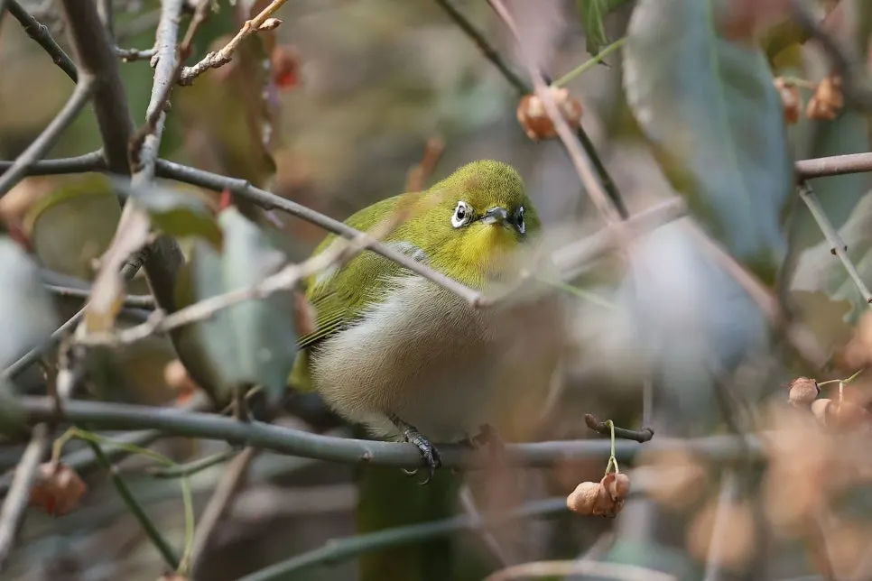 KakaoTalk_20250218_100136630_05.jpg?type=w966