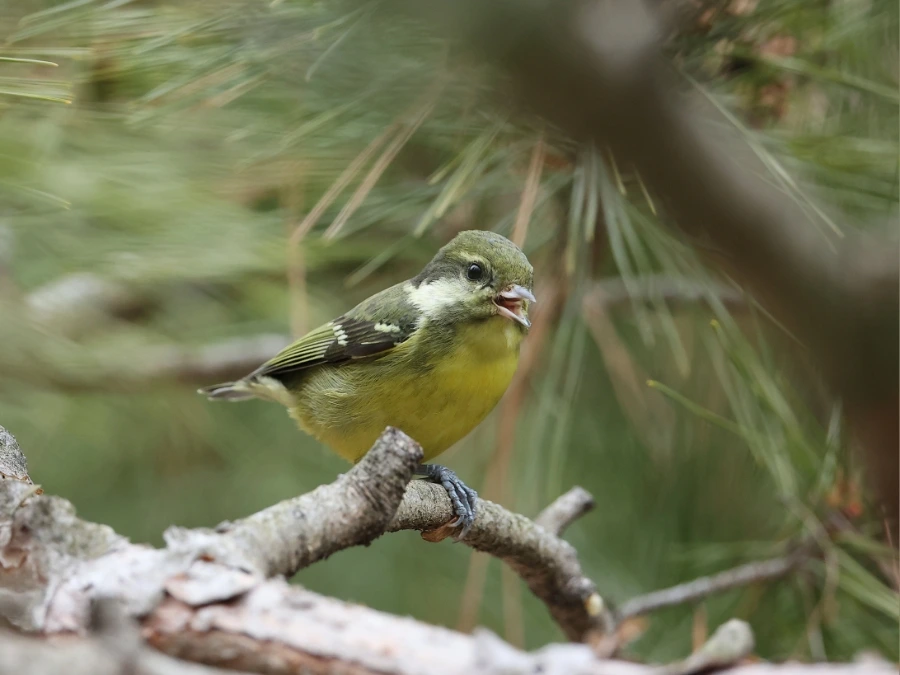 900%EF%BC%BF2C2A7643.JPG?type=w1