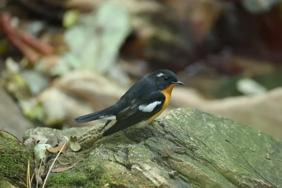 2C2A8211.JPG?type=w1