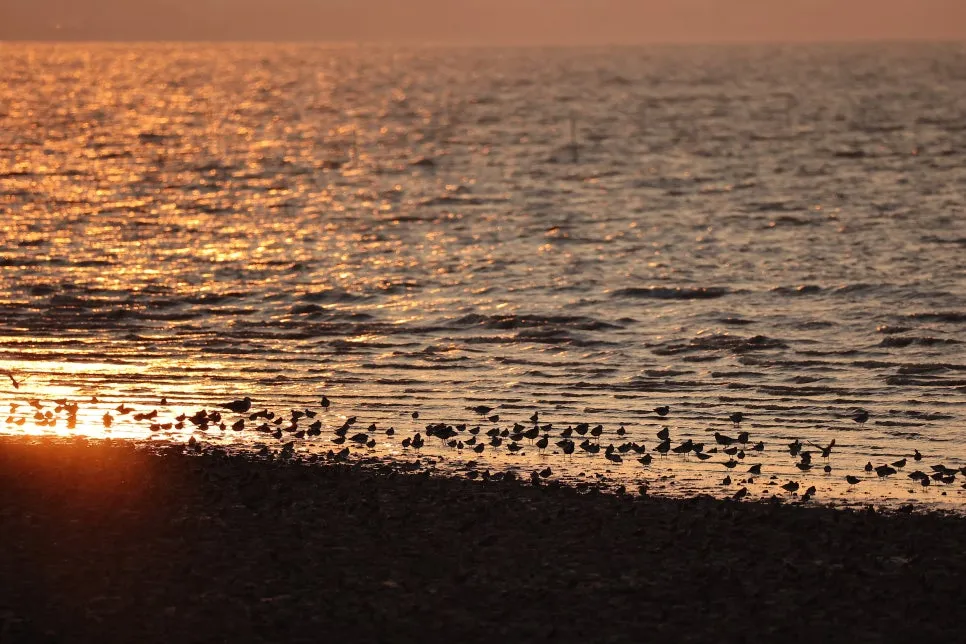 20241006%EF%BC%BF212144.jpg?type=w966