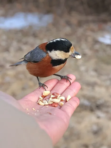 KakaoTalk_20250224_124932555_18.jpg?type=w466