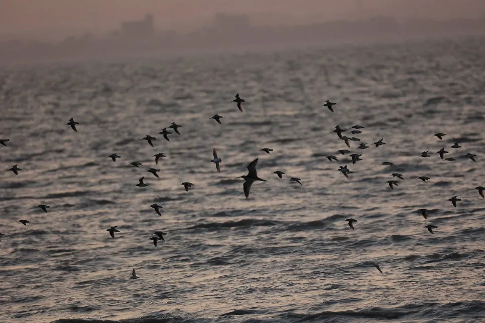 20241006%EF%BC%BF212147.jpg?type=w966