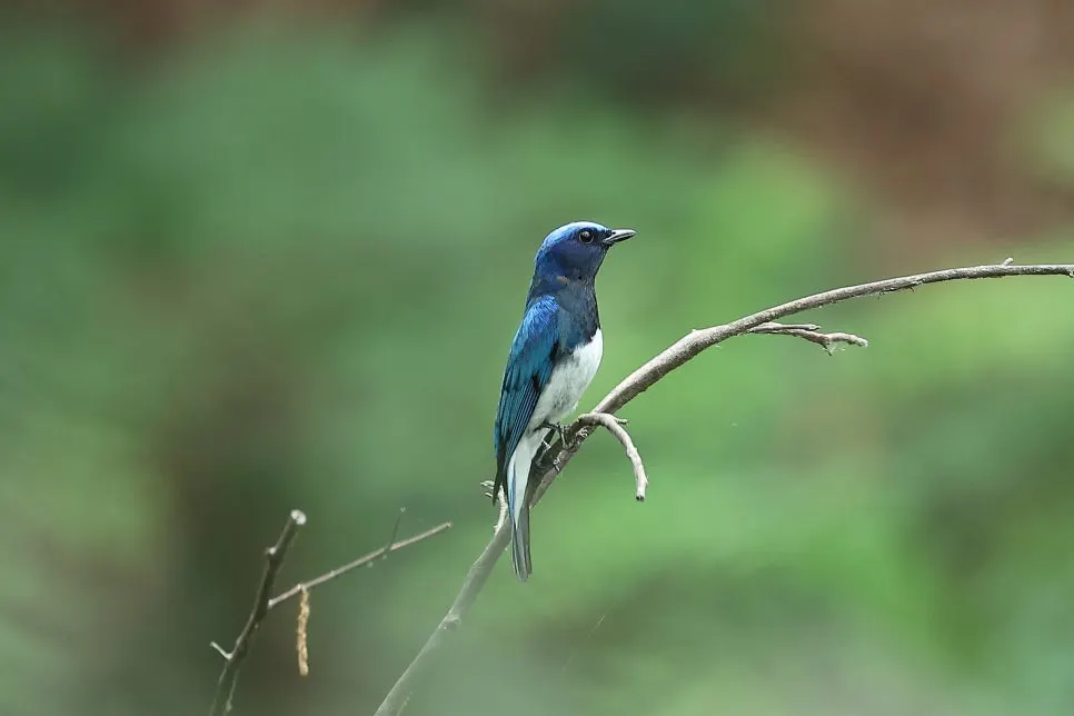 20240620180857%EF%BC%BF2C2A6520.JPG?type=w966