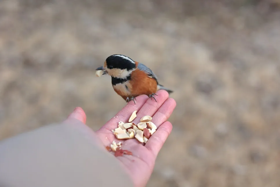 KakaoTalk_20250224_124932555_13.jpg?type=w966